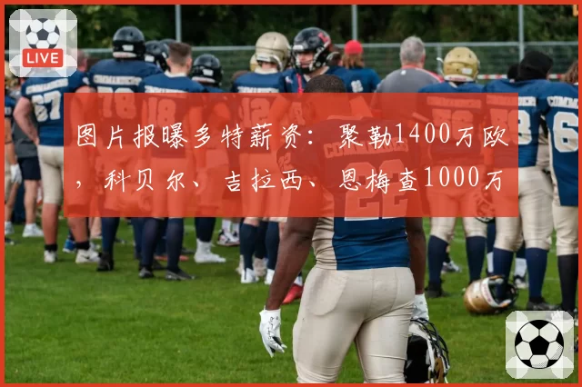 图片报曝多特薪资：聚勒1400万欧，科贝尔、吉拉西、恩梅查1000万